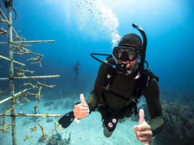 Snorkel & Conchal Beach