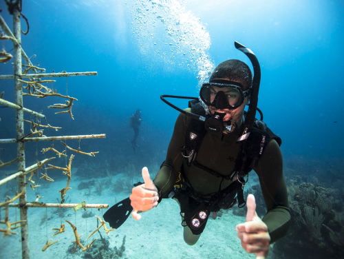 Snorkel & Conchal Beach