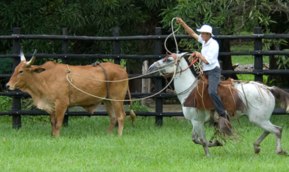Visit to historical sites
